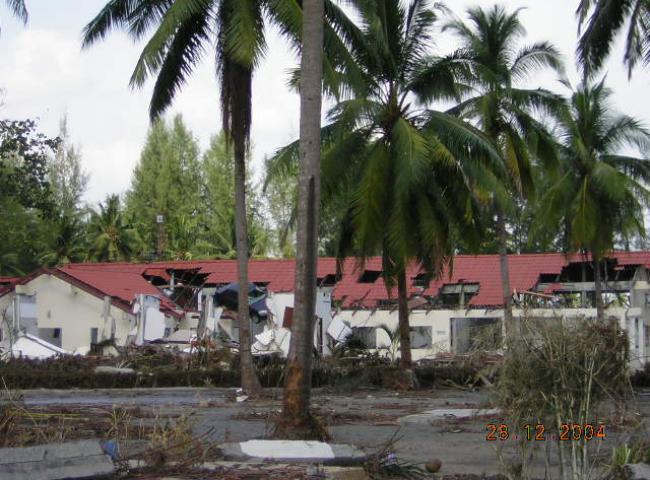 ซึนามิ พังงา 2547